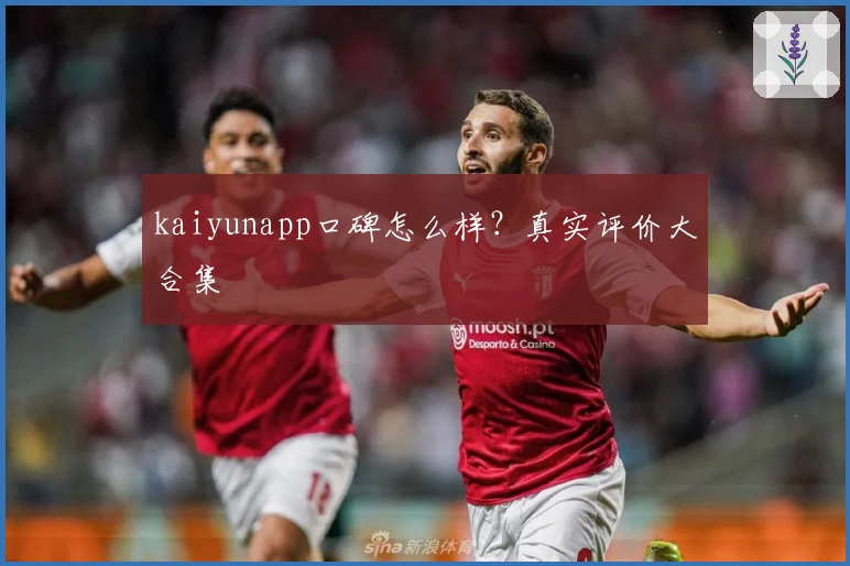 kaiyunapp口碑怎么样？真实评价大合集