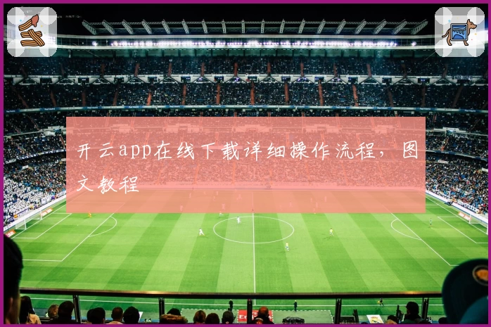 开云app在线下载详细操作流程，图文教程