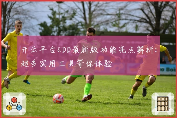 开云平台app最新版功能亮点解析：超多实用工具等你体验