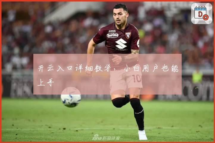 开云入口详细教学，小白用户也能上手