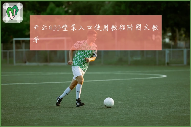 开云app登录入口使用教程附图文教学