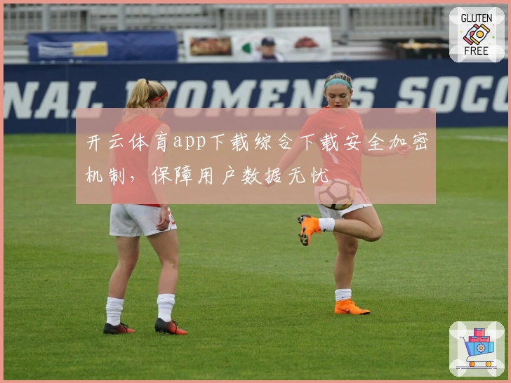 开云体育app下载综合下载安全加密机制，保障用户数据无忧